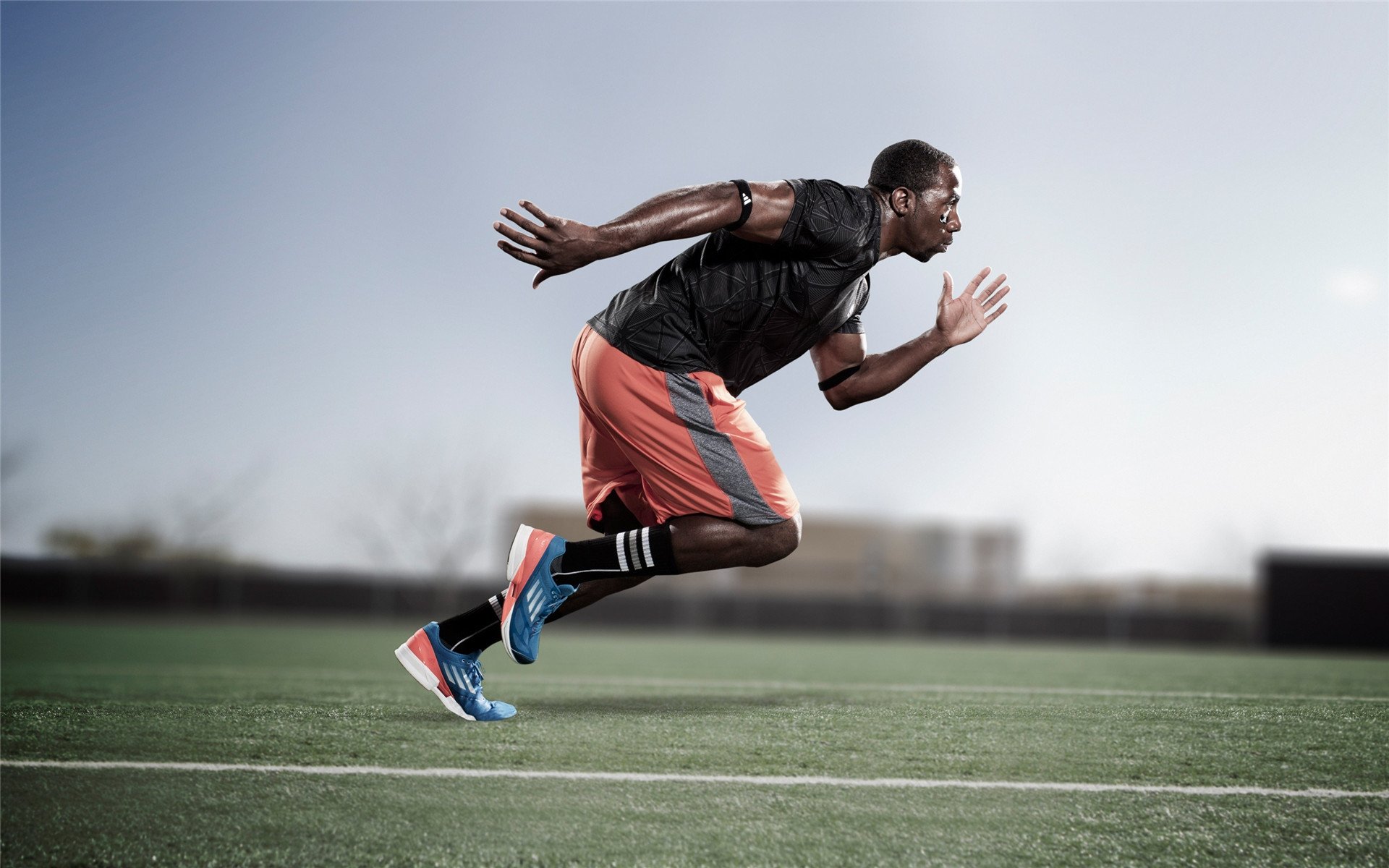 “世界武术冠军巅峰对决,高新体育中心剑拔弩张”