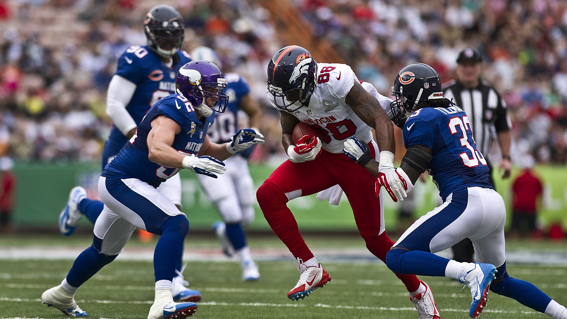 “美洲狮队进入决赛，阿根廷橄榄球迎来新纪元”