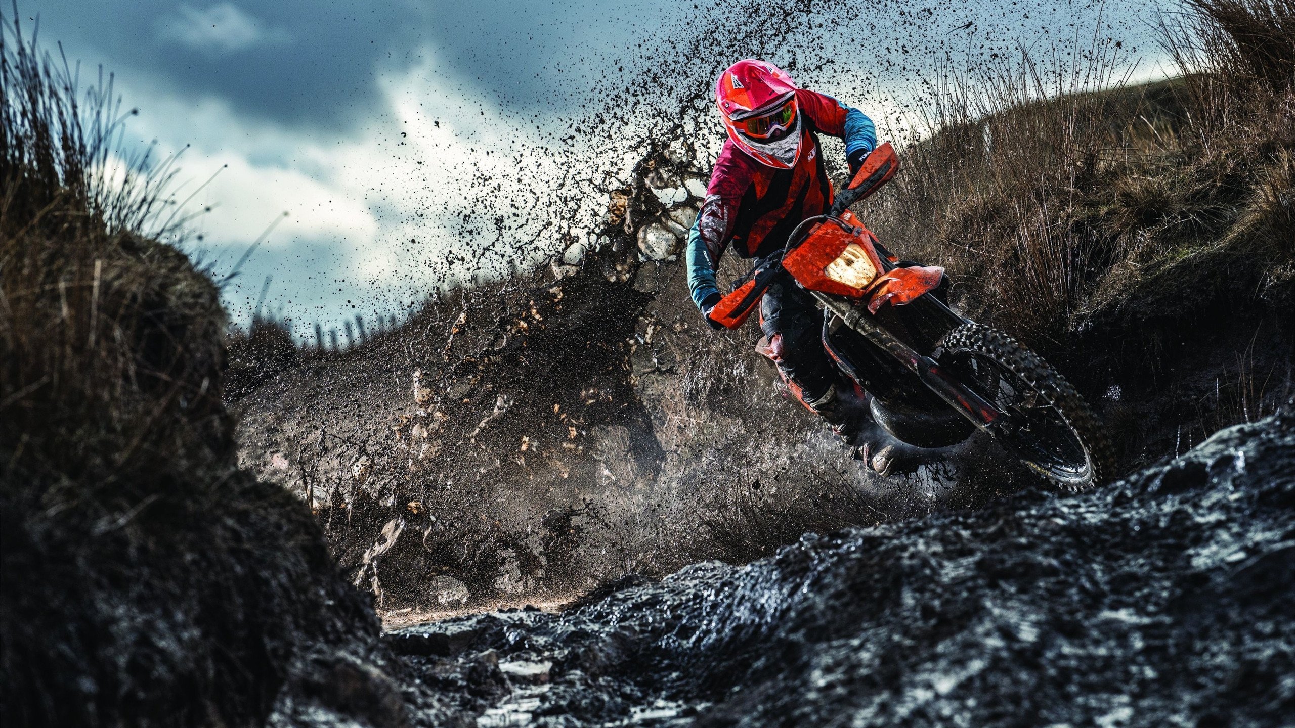 曼联将重点引进安德森，提升球队锋线实力，曼联球员安德鲁科尔